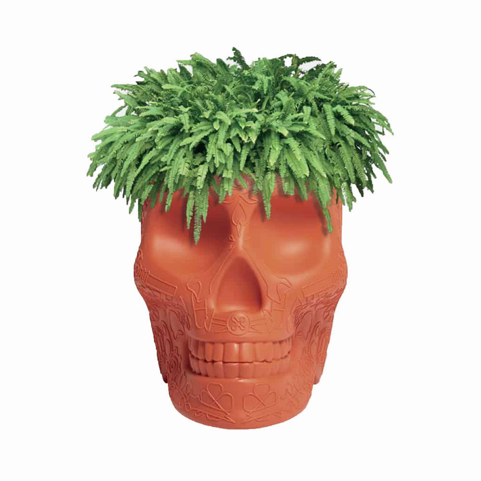 Mexico Planter and Champagne Cooler