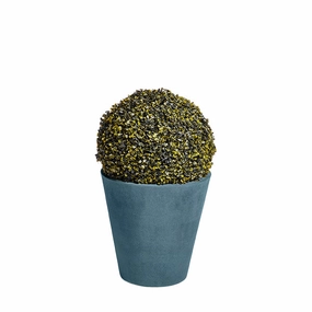 New Pot Planter Large Moleskin indoor ambient light