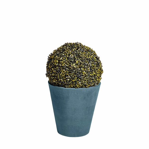 New Pot Planter Large Moleskin indoor ambient light