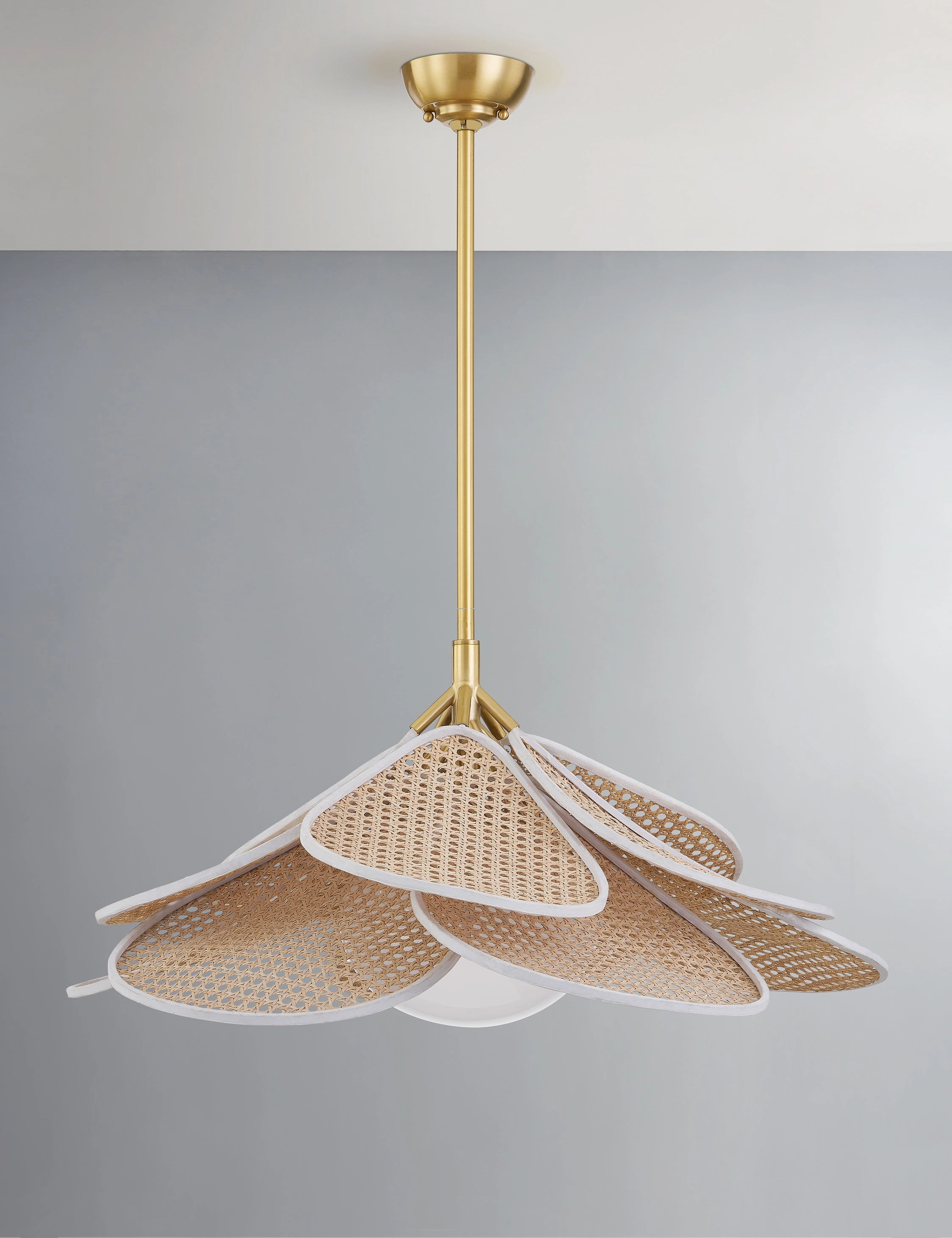 Odilia Pendant Light vintage desk lamp