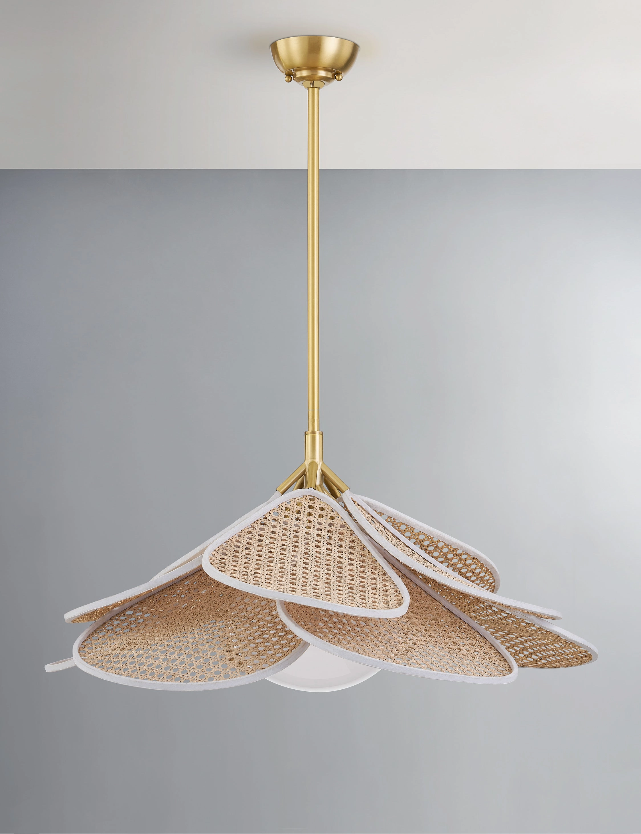 Odilia Pendant Light modern ceiling lamp