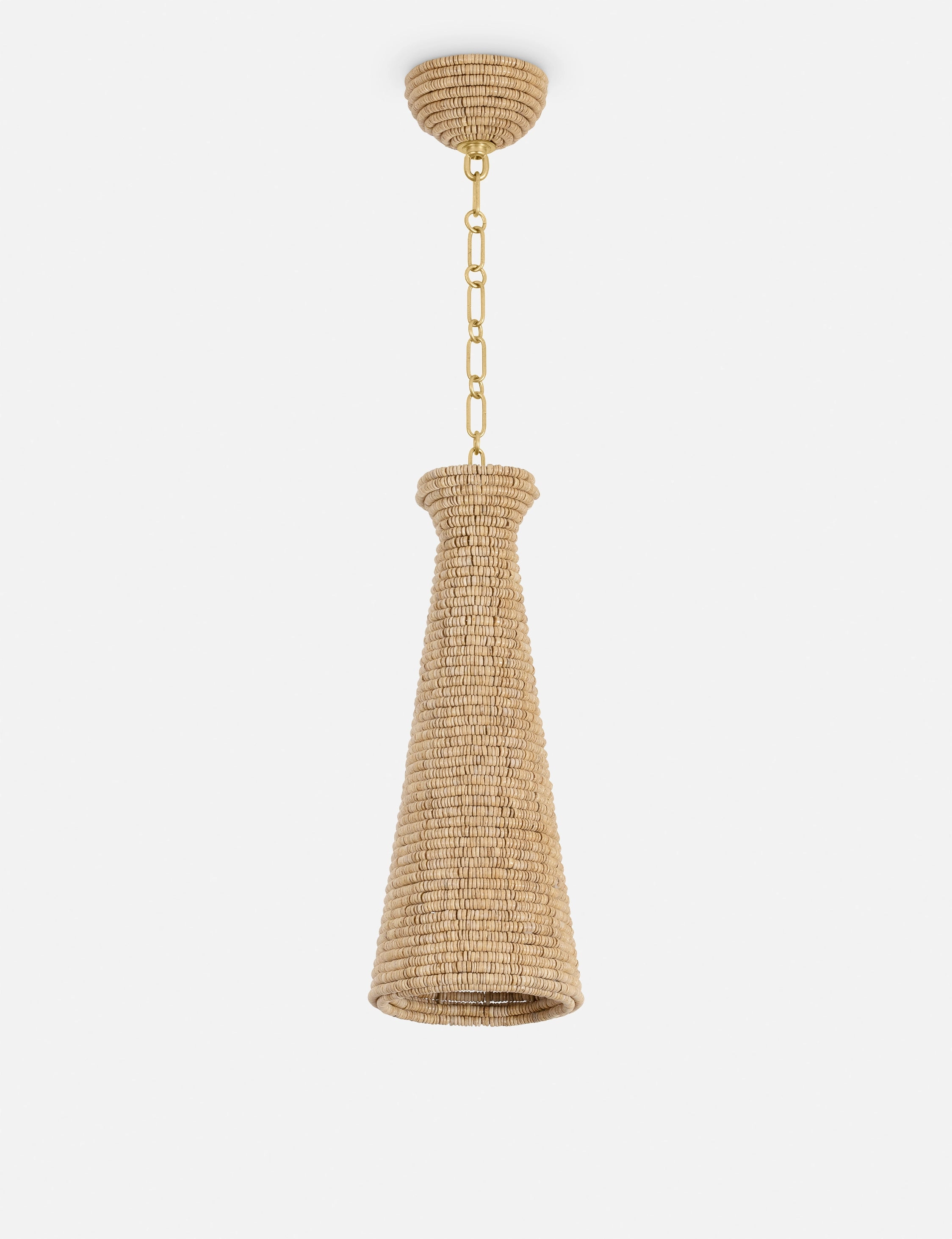 Paden Pendant Light modern ceiling lamp