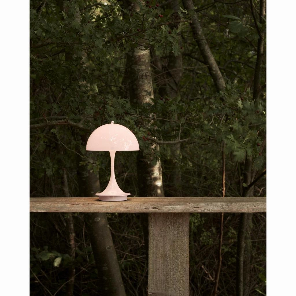 PANTHELLA 160 PORTABLE - PALE ROSE AKRYL