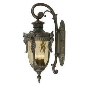 Philadelphia Bronze Large Outdoor Downlighter Wall Light outdoor wall lamp