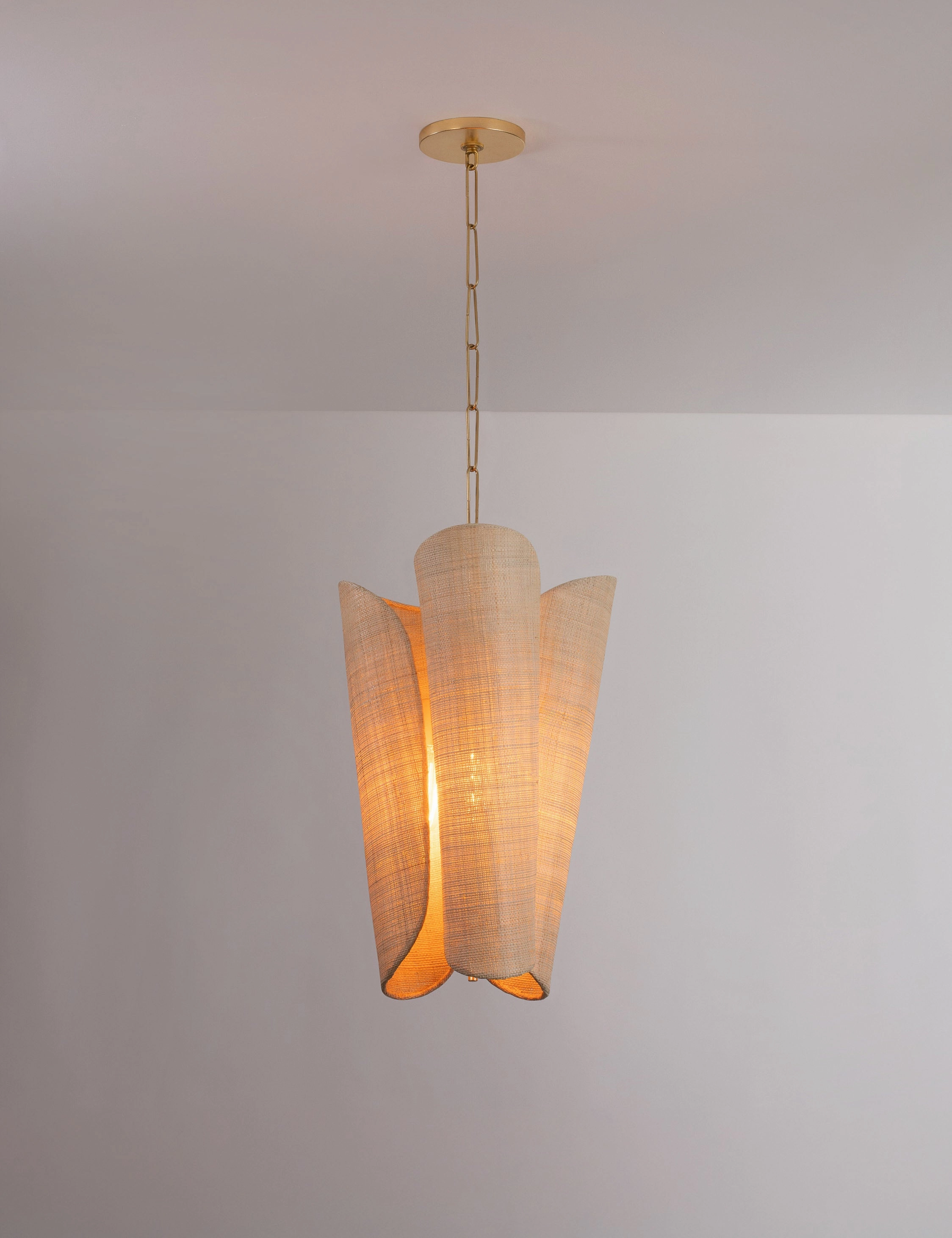Phoenix Pendant Light