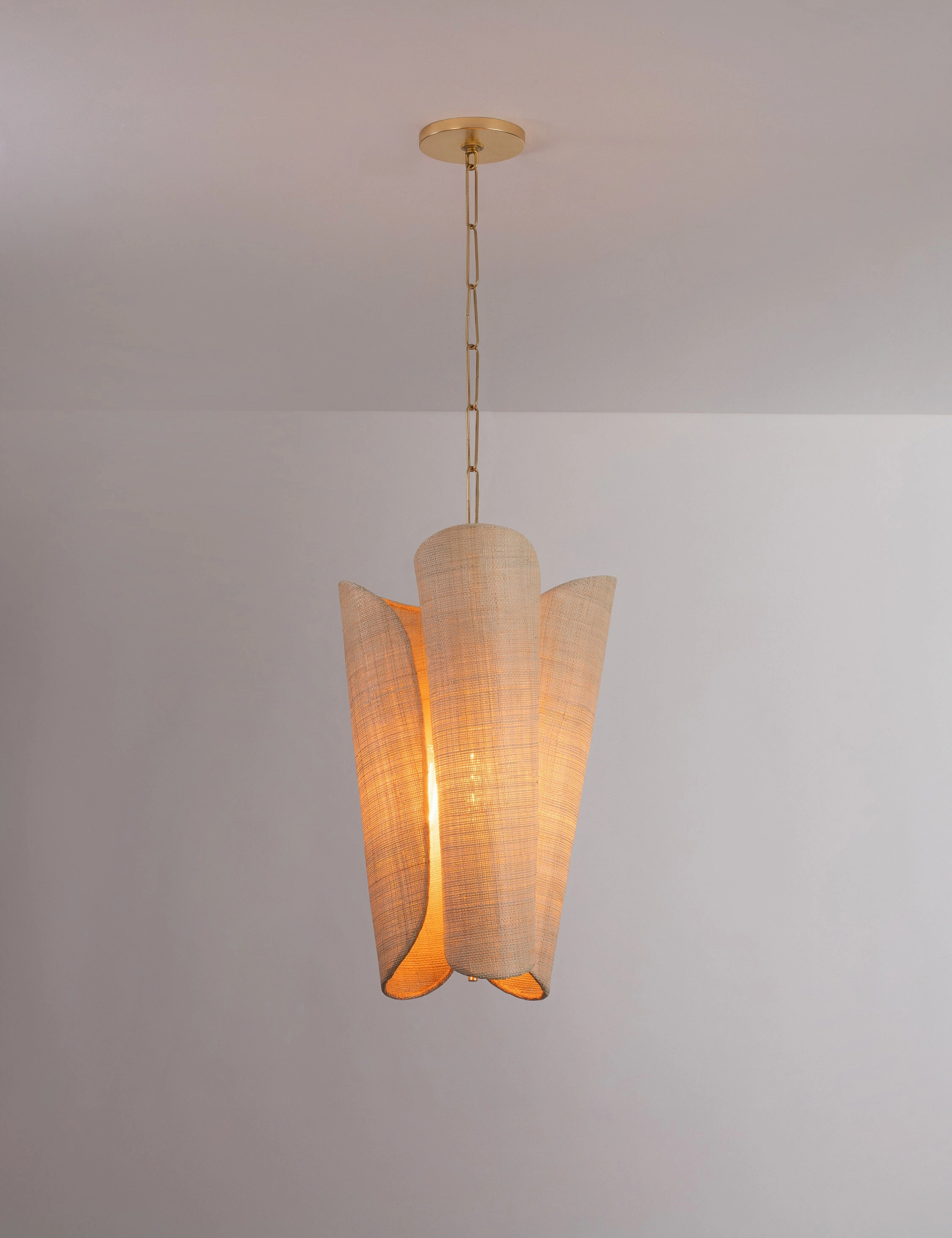 Phoenix Pendant Light