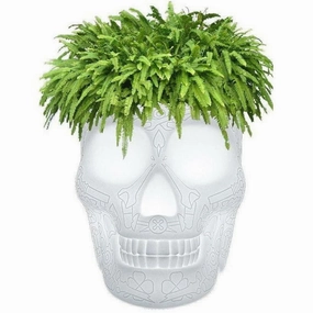 Qeeboo Mexico Planter And Champagne Cooler Floor Lamp garden LED light