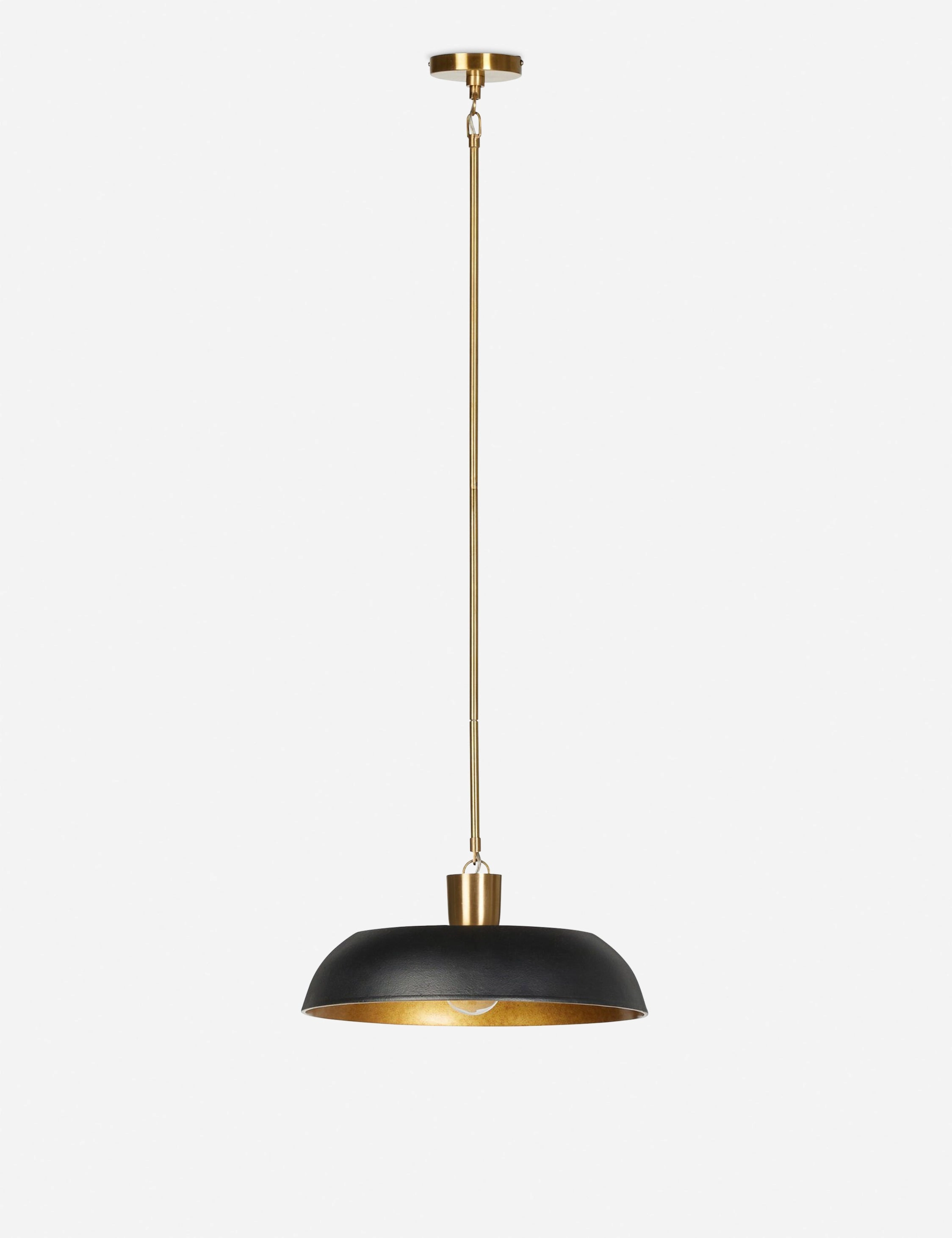 Robinson Pendant Light