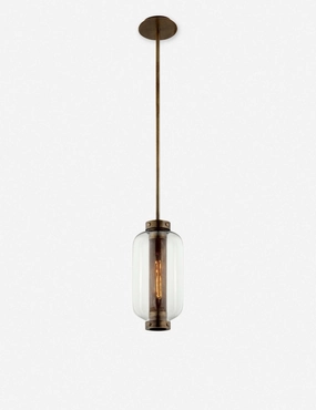 Romelia Outdoor Pendant Light ambient lighting fixture