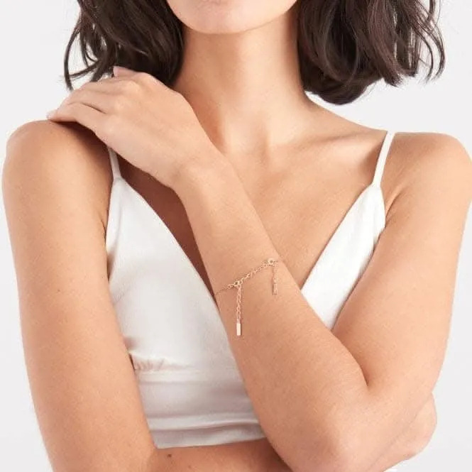 Rose Gold Extender Chain EXTENDER-R Ania Haie Jewellery
