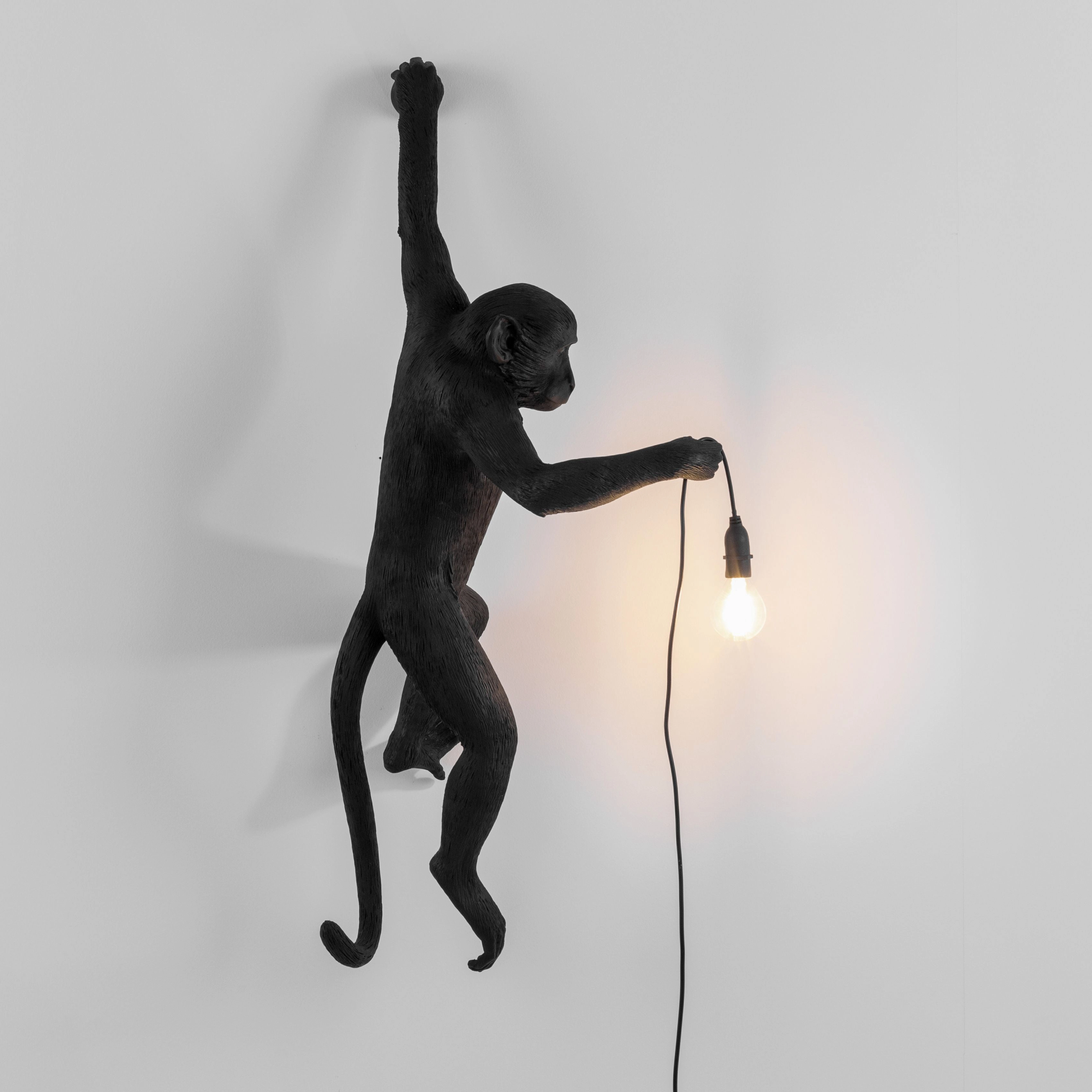 Seletti Monkey Outdoor Lamp Black, Hanging Left Hand