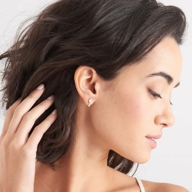 Silver Shiny Gold Plated Turquoise Drop Stud Earrings E014-01G Ania Haie Jewellery