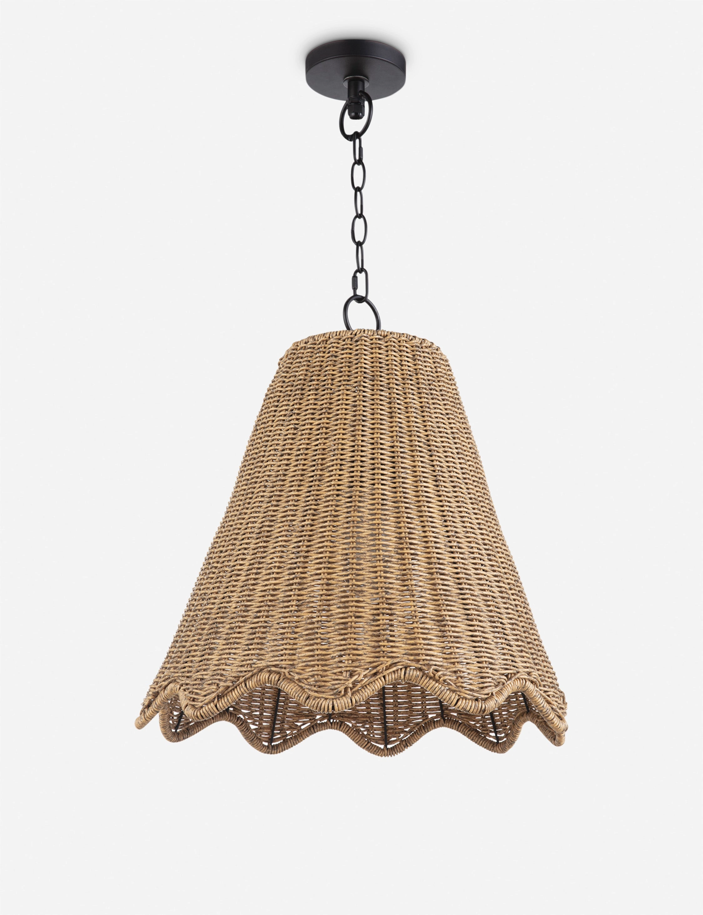 Summer Outdoor Pendant Light by Regina Andrew