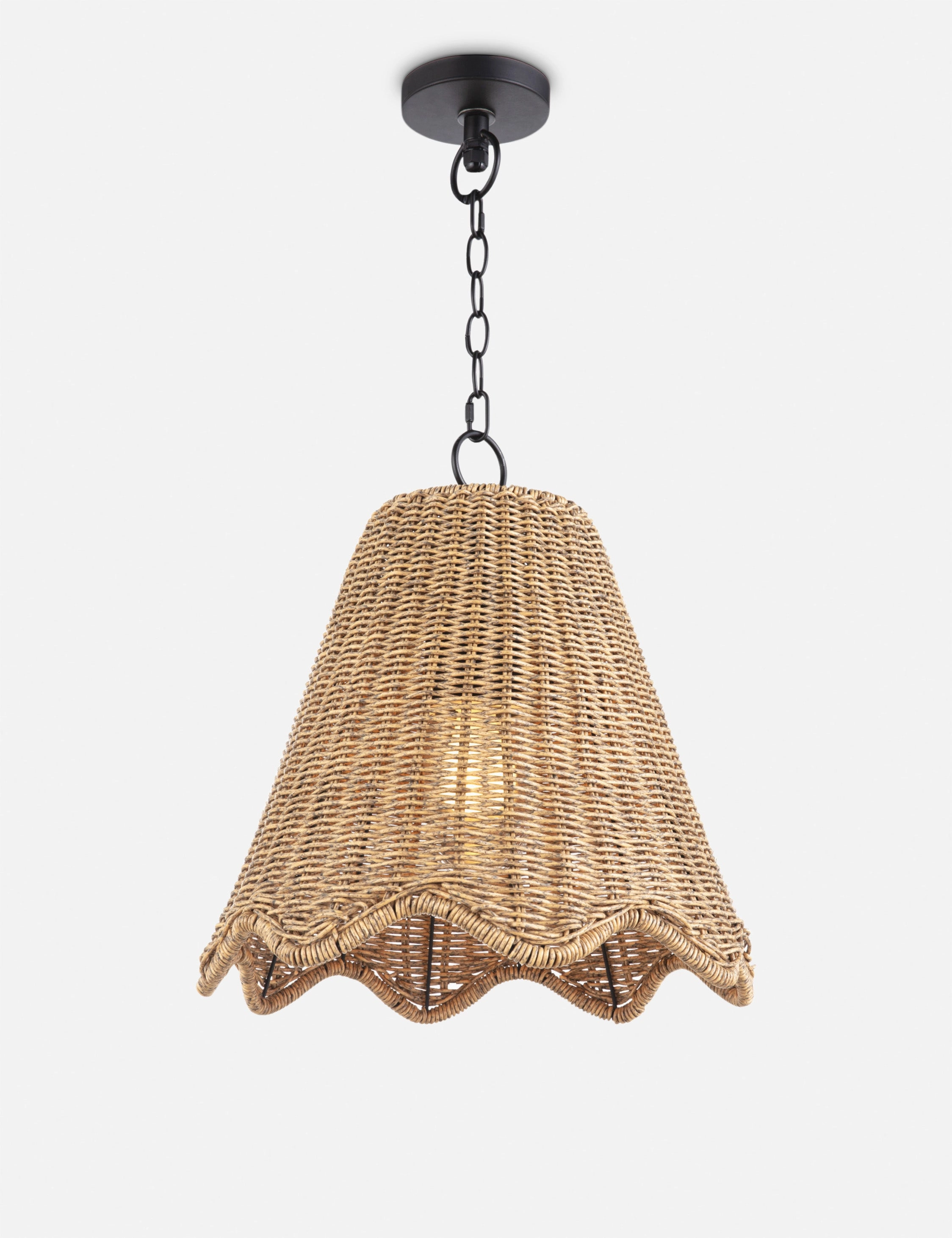 Summer Outdoor Pendant Light by Regina Andrew