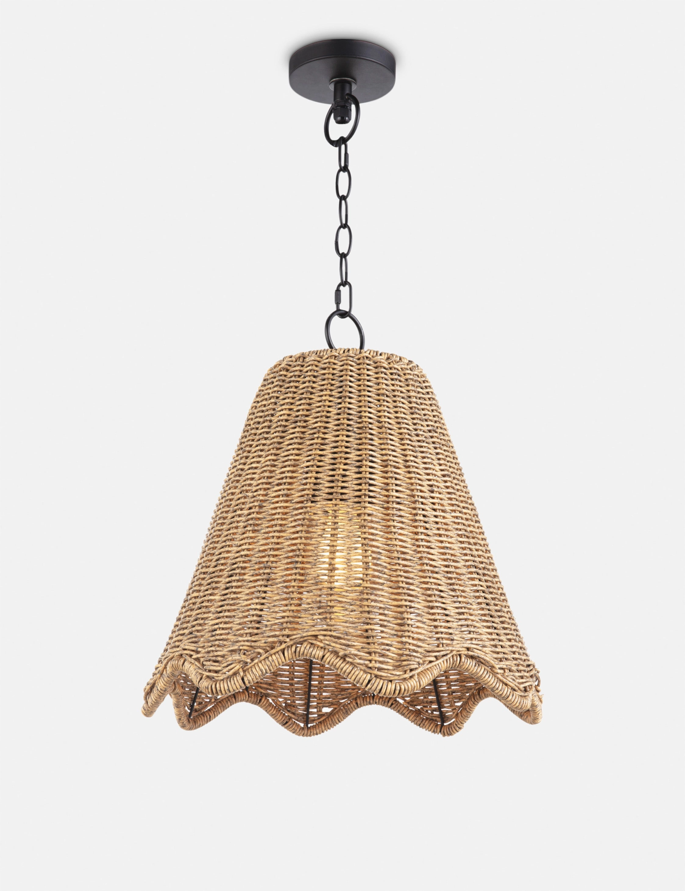 Summer Outdoor Pendant Light by Regina Andrew