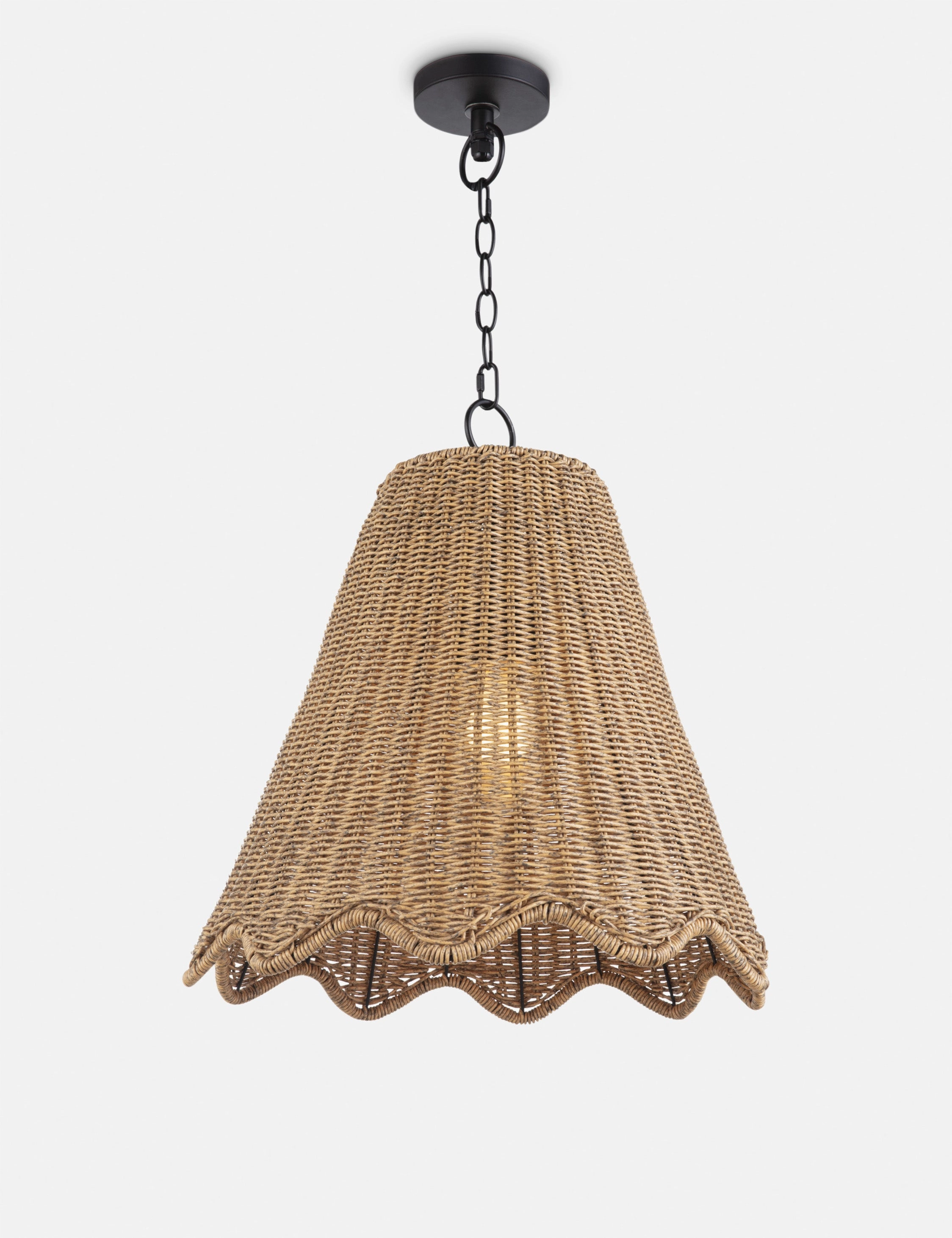 Summer Outdoor Pendant Light by Regina Andrew