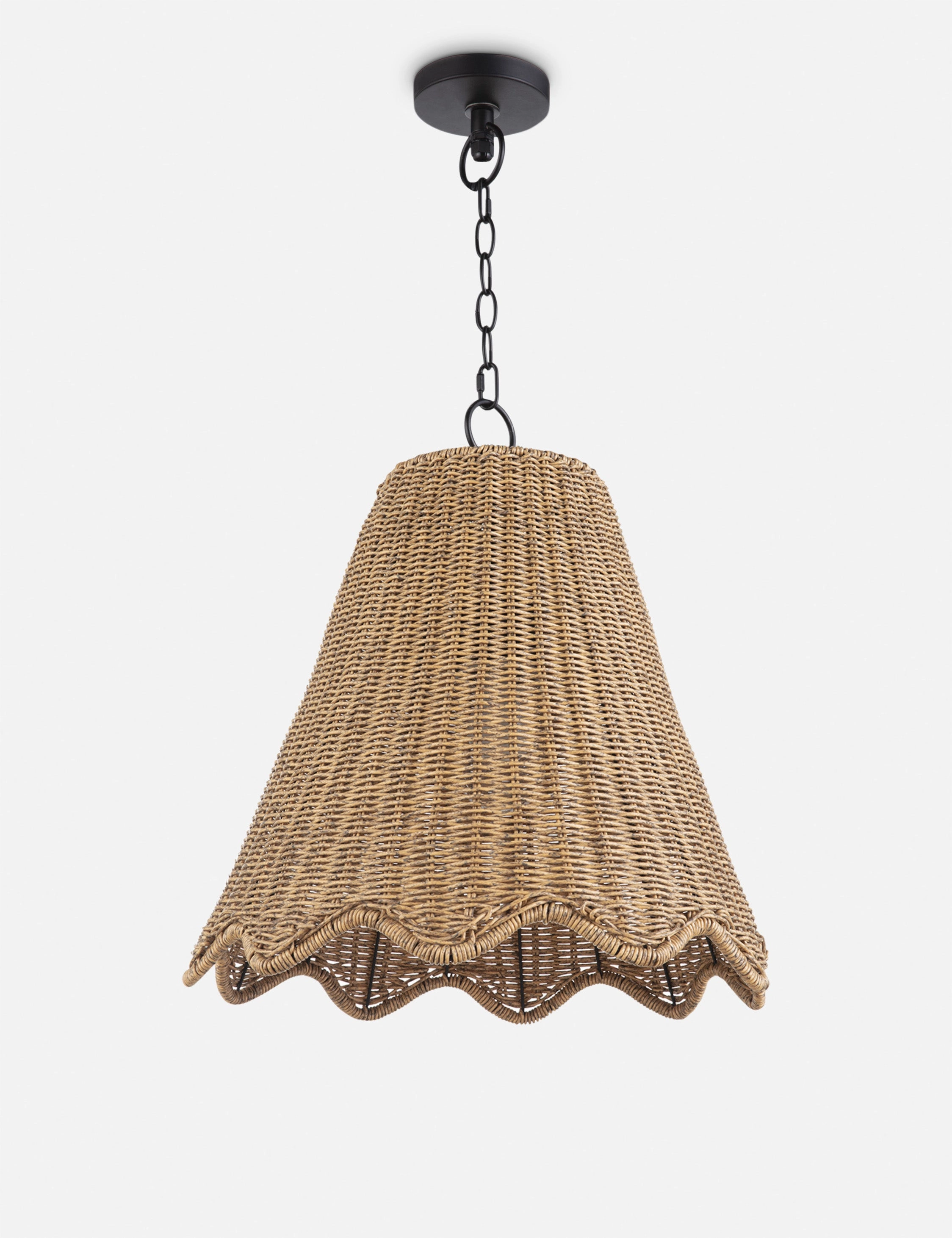 Summer Outdoor Pendant Light by Regina Andrew