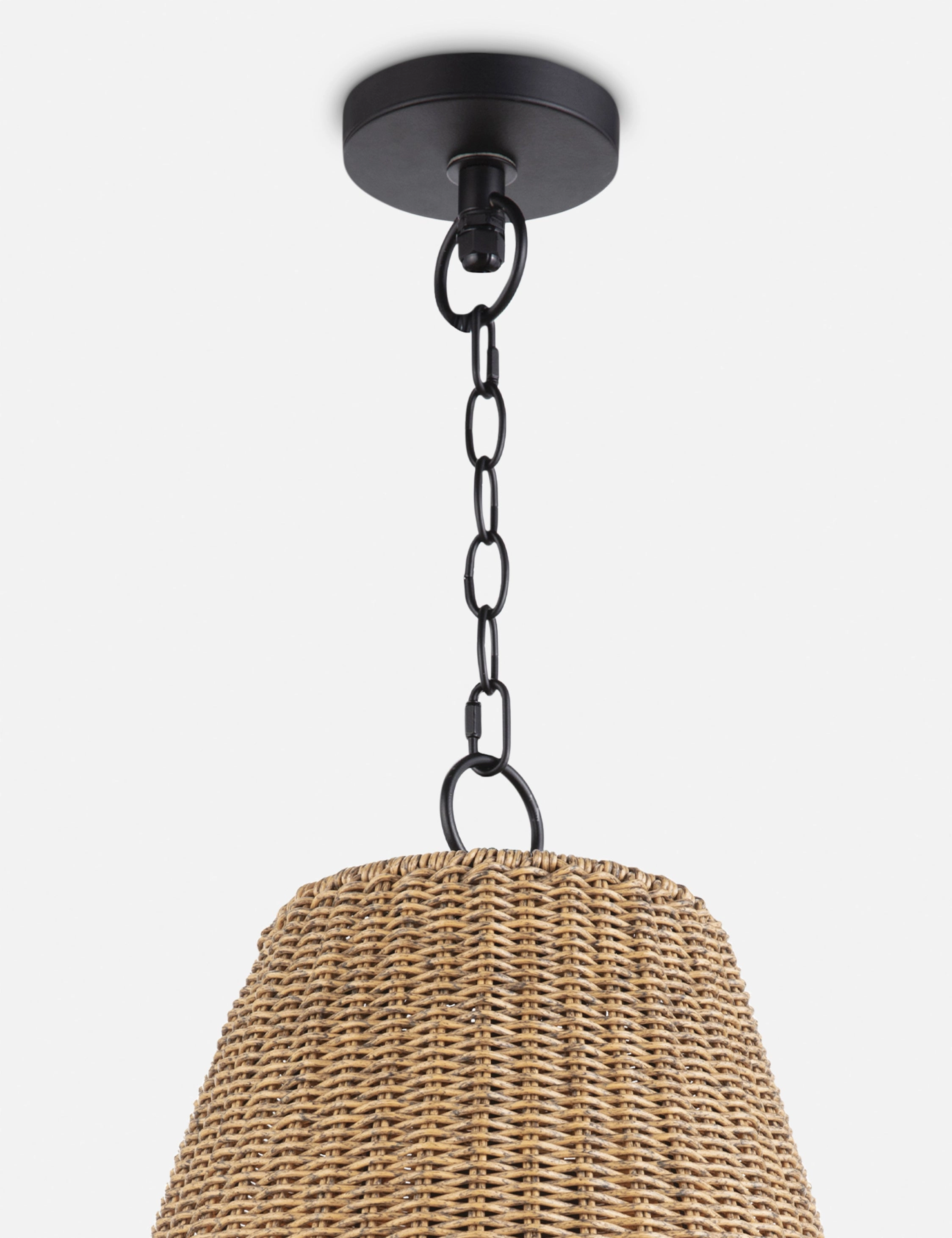Summer Outdoor Pendant Light by Regina Andrew