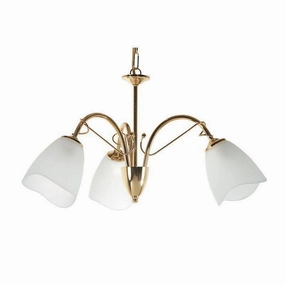 Turin Polished Brass 3 Light Chandelier simple ceiling design light